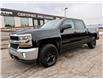 2017 Chevrolet Silverado 1500 LT (Stk: 514216U) in PORT PERRY - Image 1 of 37
