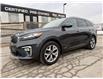 2019 Kia Sorento  (Stk: 557587U) in PORT PERRY - Image 1 of 44