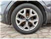 2019 Kia Sorento  (Stk: 557587U) in PORT PERRY - Image 11 of 44