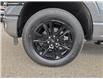 2026 Ford F-150 Platinum (Stk: TT207) in Kamloops - Image 6 of 24