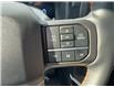 2026 Ford F-150 Tremor (Stk: 0T6210) in Kamloops - Image 16 of 25