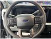 2026 Ford F-250 XLT (Stk: 26079) in Melfort - Image 17 of 18
