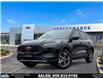 2025 Ford Escape ST-Line (Stk: ES54057) in Windsor - Image 1 of 26