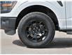 2024 Ford F-150 STX (Stk: 03316) in GEORGETOWN - Image 6 of 25