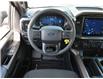 2024 Ford F-150 STX (Stk: 03316) in GEORGETOWN - Image 20 of 25