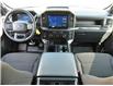 2024 Ford F-150 STX (Stk: 03316) in GEORGETOWN - Image 23 of 25