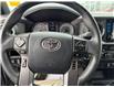 2019 Toyota Tacoma SR5 V6 (Stk: P2273) in BELLEVILLE - Image 16 of 17