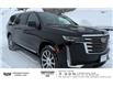 2023 Cadillac Escalade ESV Premium Luxury Platinum (Stk: 69861A) in Sudbury - Image 3 of 21