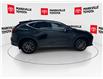 2025 Lexus NX 350 Base (Stk: 11U4437) in Markham - Image 12 of 33