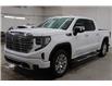 2024 GMC Sierra 1500 Denali (Stk: T3433A) in Watrous - Image 5 of 48