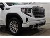 2024 GMC Sierra 1500 Denali (Stk: T3433A) in Watrous - Image 16 of 48