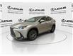 2024 Lexus NX 250  (Stk: 14111062A) in Markham - Image 5 of 25