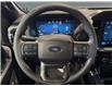 2026 Ford F-150 STX (Stk: T9996) in ROSETOWN - Image 14 of 17