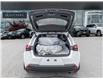 2023 Lexus UX 250h  (Stk: 15105023A) in Richmond Hill - Image 8 of 27