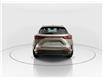 2026 Lexus NX 350h  (Stk: 15105681) in Richmond Hill - Image 6 of 19