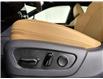 2026 Lexus RX 350h  (Stk: 15105687) in Richmond Hill - Image 12 of 18