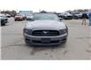 2013 Ford Mustang V6 Premium (Stk: 2-12437A) in Oshawa - Image 3 of 21