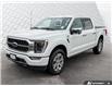 2023 Ford F-150 Platinum (Stk: T79272) in Richmond - Image 1 of 25