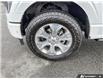 2023 Ford F-150 Platinum (Stk: T79272) in Richmond - Image 6 of 25