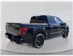 2026 Ford F-150 STX (Stk: 6T038) in Williams Lake - Image 5 of 13