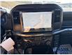 2026 Ford F-150 STX (Stk: 6T038) in Williams Lake - Image 12 of 13