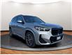 2023 BMW X1 xDrive28i (Stk: XU912) in Sarnia - Image 8 of 21