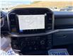 2026 Ford F-150 XLT (Stk: 6T024) in Williams Lake - Image 12 of 13