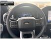 2026 Ford F-150 Lariat (Stk: 6F161162) in Brantford - Image 12 of 23