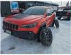 2021 Jeep Cherokee Trailhawk (Stk: ZELITE) in Sudbury - Image 1 of 19
