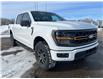 2026 Ford F-150 Tremor (Stk: T42662) in Hague - Image 2 of 13