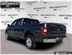 2019 Ford F-150 XLT (Stk: 6F15043A) in Brantford - Image 4 of 23