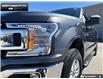 2019 Ford F-150 XLT (Stk: 6F15043A) in Brantford - Image 7 of 23