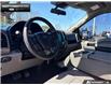 2019 Ford F-150 XLT (Stk: 6F15043A) in Brantford - Image 11 of 23