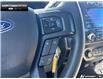 2019 Ford F-150 XLT (Stk: 6F15043A) in Brantford - Image 14 of 23