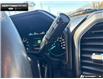 2019 Ford F-150 XLT (Stk: 6F15043A) in Brantford - Image 16 of 23