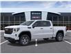 2026 GMC Sierra 1500 Pro (Stk: 6460790) in Petrolia - Image 2 of 6