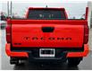 2024 Toyota Tacoma Base (Stk: W7036A) in Cobourg - Image 6 of 28