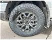 2026 Ford F-150 Tremor (Stk: 26AT2093) in Airdrie - Image 6 of 25