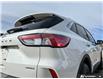 2020 Ford Escape SEL (Stk: T-905A) in Okotoks - Image 7 of 7