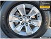 2023 Chevrolet Silverado 1500 LT (Stk: T6161A) in Kincardine - Image 6 of 22