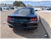 2024 Ford Mustang GT (Stk: 24773) in Pembroke - Image 24 of 27