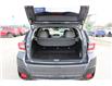 2023 Subaru Crosstrek Outdoor (Stk: SC0247) in Cranbrook - Image 5 of 26
