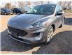 2022 Ford Escape SEL (Stk: 260515PA) in London - Image 1 of 6