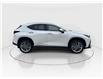 2024 Lexus NX 350 Base (Stk: 16104885A) in Markham - Image 9 of 14