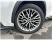 2024 Lexus NX 350 Base (Stk: 16104885A) in Markham - Image 13 of 14