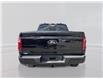 2026 Ford F-150 XLT (Stk: 6T020) in Williams Lake - Image 6 of 13