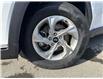 2023 Hyundai Tucson Preferred (Stk: 16104989A) in Markham - Image 13 of 13