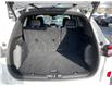 2023 Ford Escape ST-Line (Stk: 251491) in Ottawa - Image 20 of 21