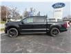 2026 Ford F-150 STX (Stk: 26057) in Amherstburg - Image 2 of 21