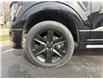 2026 Ford F-150 STX (Stk: 26057) in Amherstburg - Image 7 of 21